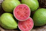 guava's Avatar