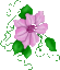 Ws Flower Purple Transparent Dagrapevine Flip Up