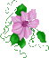 :ws_flower